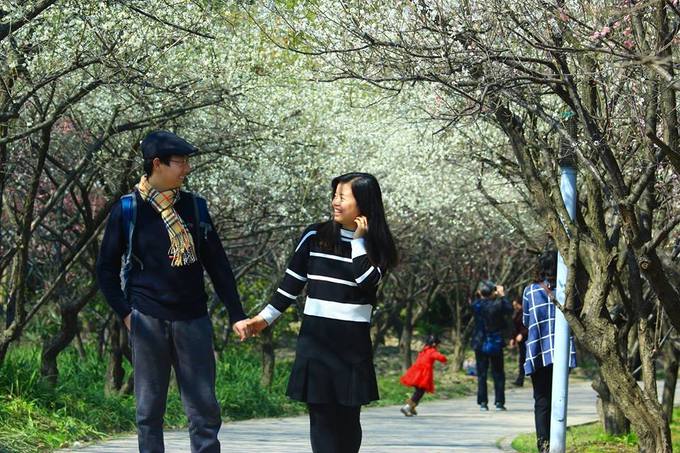 Thượng Hải được biết đến là trung tâm tài chính thương mại lớn nhất Trung Quốc, nhưng chưa bao giờ nổi tiếng bởi hoa. Tuy nhiên, với tôi vào mùa xuân Thượng Hải đúng là một thành phố hoa. Từ tháng 2 đến tháng 3 hoa đào nở rộ. Cuối tháng 3 đầu tháng 4 là lúc hoa anh đào và mộc lan khoe sắc. Cuối tháng tư đến lượt hoa tulip rực rỡ sắc màu. Vậy nên, trong suốt cả mùa xuân, Thượng Hải là nơi để thưởng lãm hoa.