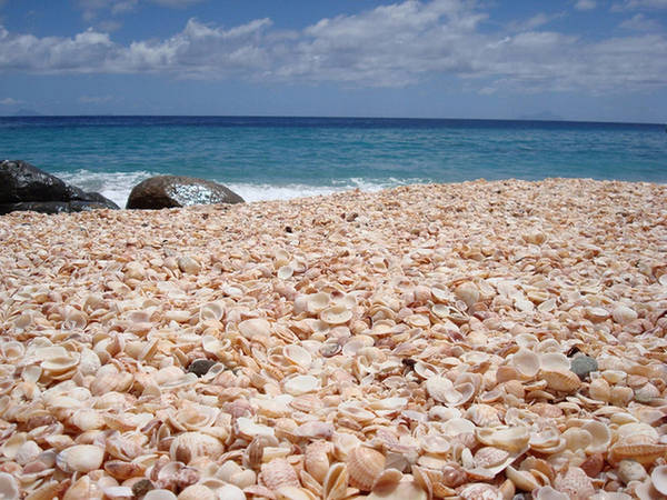 Khi những con sò chết đi, vỏ của chúng sẽ trôi dạt vào bờ, và quá trình này diễn ra trong hàng nghìn năm đã khiến bãi biển hoàn toàn được phủ kín bởi vỏ sò như hiện nay.
