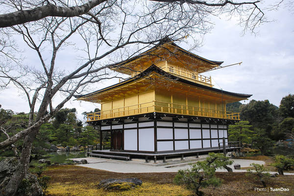 Trên đỉnh chùa vàng, được gắn một con phượng hoàng được đúc hoàn toàn bằng vàng. Biểu tượng của vị tướng quân Yoshimitsu Ashikaga.