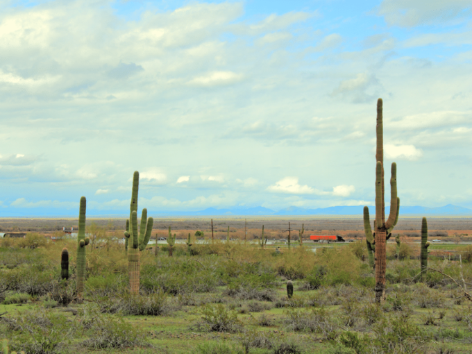 Đường liên bang 10, Arizona Tuyến đường xuyên Phoenix đến biên giới California dài khoảng 240 km đặc biệt nguy hiểm bởi các tài xế phải lái xe băng qua các sa mạc. Theo số liệu thống kê, có 85 người chết trong một năm trên đoạn đường này. Ảnh: You Touch Pix of EuToch. Đường liên bang 4, Florida