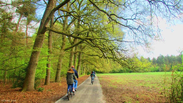 Công viên Park Hoge Veluwe là công viên nổi tiếng nhất Hà Lan, với 40 km đường dành cho xe đạp, đồng thời cung cấp 1.800 xe phục vụ khách tham quan miễn phí. Bạn nên đến đây từ lúc sáng sớm khi vừa mở cửa (8h) để nghe tiếng chim hót và hít thở bầu không khí thật trong lành.