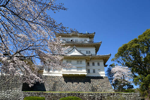 Lâu đài Odawara Lâu đài nằm ở khu Hakone, được xây dựng vào giữa thế kỷ 15, tòa tháp hiện nay được phục hồi từ năm 1960. Bên trong lâu đài được sử dụng như bảo tàng lưu giữ nhiều tư liệu lịch sử, nếu lên tầng cao nhất, du khách sẽ thấy đường chân trời ở vịnh Sagami trải dài trước mắt. Bao quanh lâu đài trồng rất nhiều hoa anh đào, mận, cẩm tú cầu, diên vĩ... Ảnh: cdn.