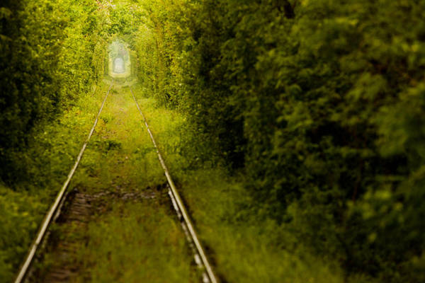 9. Đường ray xe lửa bị bỏ hoang này nằm trong khu rừng cạnh Caransebes, Romania được người dân địa phương và khách du lịch ví von là Đường hầm Tình yêu vì có vẻ đẹp quyến rũ và lãng mạn.