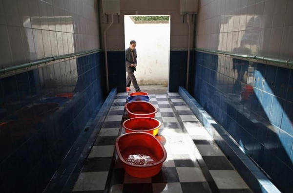 Nước tiểu dùng để luộc trứng được lấy từ các trường tiểu học. Tuy nhiên, không phải ai cũng thích món này. Ảnh: Reuters.