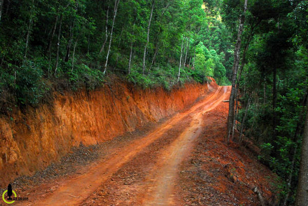 Là hai thôn thuộc diện nghèo nhất huyện, đường đi lên Mang Mủ ngày nay đặc biệt khó khăn với dốc cao, bùn lầy trên con đường độc đạo dẫn lên đỉnh núi, và chỉ có thể tiếp cận được vào ngày nắng khô ráo.