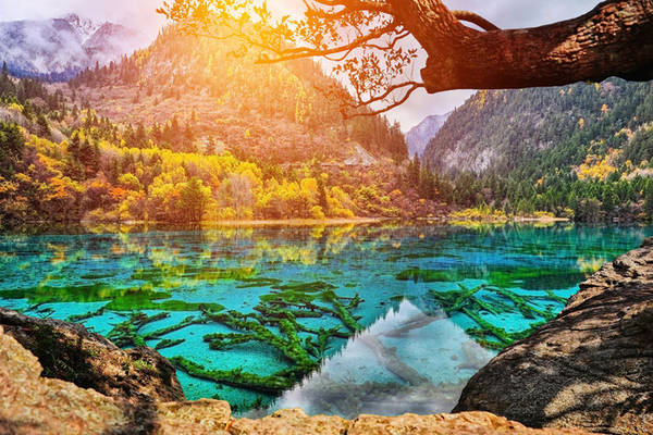 2. Công viên Quốc gia Cửu Trại Câu ở Tứ Xuyên, Trung Quốc là tập hợp của những khu rừng xanh mát bao quanh các hồ nước xanh màu ngọc bích. Cứ mỗi mùa thu, khi hồ nước trong veo phản chiếu tấm thảm lá rừng đang chuyển dần từ màu vàng sang màu đỏ, hàng triệu du khách lại đổ về đây để chiêm ngưỡng vẻ đẹp như chỉ có ở chốn thần tiên này.