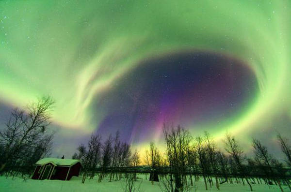  Cực quang huyền ảo tại Fairbanks (Alaska), Yellowknife (Canada) và miền bắc Thụy Điển - Ảnh: Alamy/Babak Tafreshi