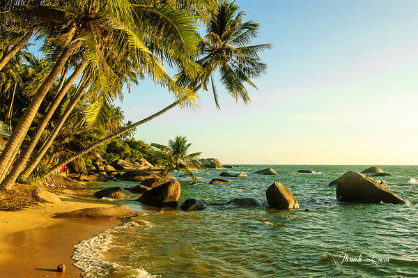 Một điểm đến mới được khai thác gần đây, biển đẹp lý tưởng cho các bạn thích đón bình minh - bãi Xếp - nơi có cây dừa nằm ngang.