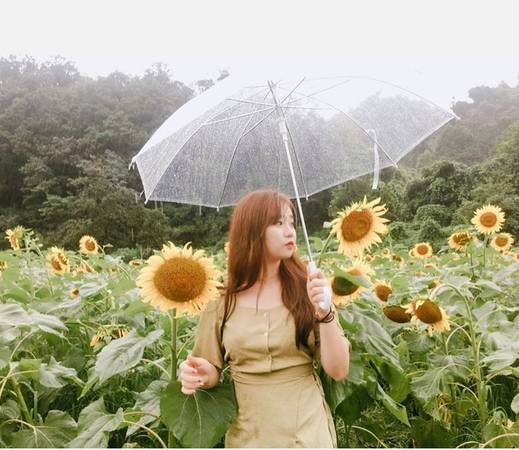 Dù trời mưa, hoa có phần kém sắc nhưng nhờ không khí trong lành ở Yangpyeong, cộng với cảnh quan non nước hữu tình nên nơi này vẫn là điểm đến yêu thích của nhiều người, đặc biệt là nhóm gia đình.
