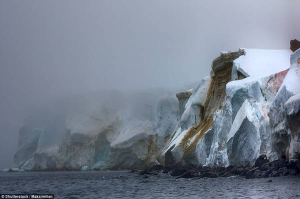 Đảo Rudolf, Nga - Ảnh: Shutterstock