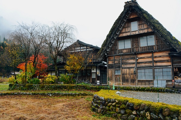 Ngôi làng đón khách quanh năm và mỗi mùa đều có sức quyến rũ riêng. Tuy nhiên, thời điểm lý tưởng nhất để tới Shirakawa là cuối thu đầu đông, khi những vạt cây rừng vẫn còn nhiều mảng đỏ vàng lãng mạn, nhưng chỉ cần sau đó vài ngày, cả không gian có thể chìm trong tuyết trắng xóa.