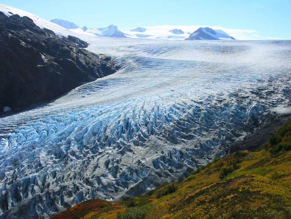 Nếu đã đến Fjords rồi thì tuyệt đối không được bỏ lỡ dịp khám phá dòng sông băng hùng vĩ Exit Glacier.