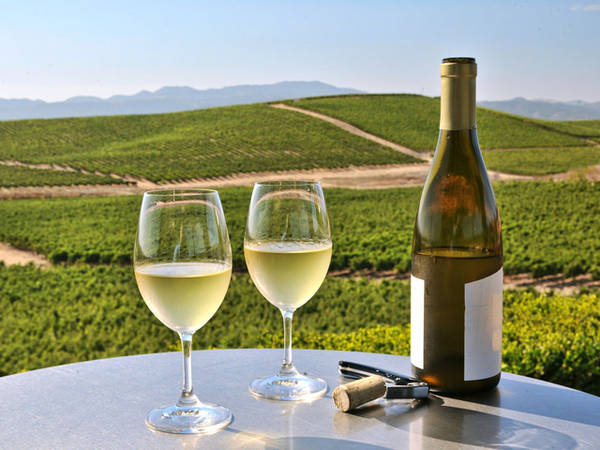 Dân sành rượu không thể không một lần thưởng thức rượu vang tại thung lũng Napa. Không gì tuyệt vời bằng thưởng thức rượu giữa thiên nhiên bát ngát của vùng!