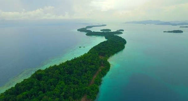 Tại hòn đảo xa xôi Owarigi thuộc quần đảo Solomon ngoài khơi nam Thái Bình Dương, hơn 1.000 người dân bản địa đang sinh sống hòa bình với loài cá mập có chiều dài lên đến 3 m từ bao đời nay.