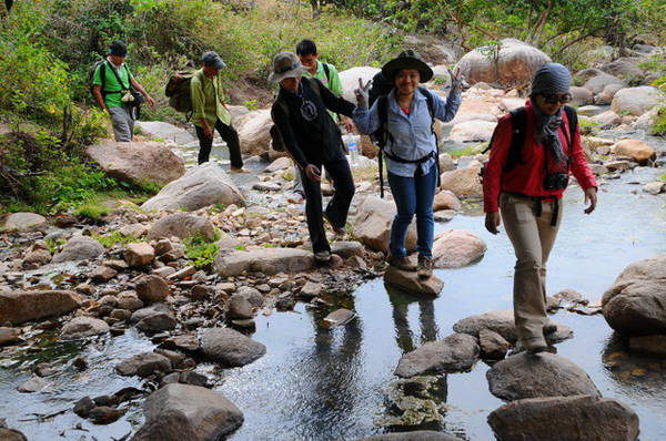 Trekking ở rừng quốc gia Núi Chúa, Ninh Thuận - Ảnh: T.T.D