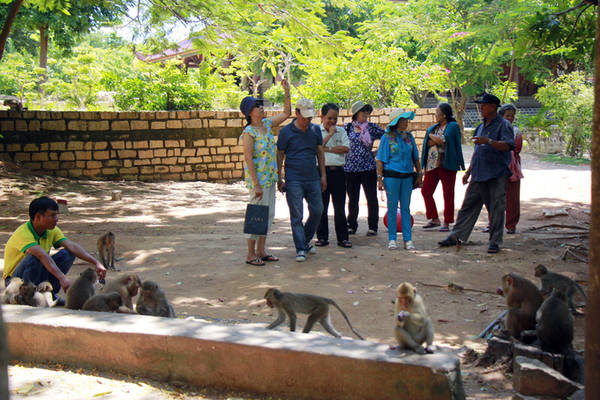 Thiền viện cũng là nơi cư ngụ của bầy khỉ đuôi dài gần 200 con, được Tổ chức Kỷ lục Việt Nam xác lập kỷ lục “Ngôi chùa có đàn khỉ thiên nhiên nhiều nhất”. Vì vậy, Thiền viện Trúc lâm Chân Nguyên thường được người dân địa phương gọi là chùa Khỉ. Hàng ngày, đàn khỉ thường xuống núi ăn và vui đùa trong khuôn viên.