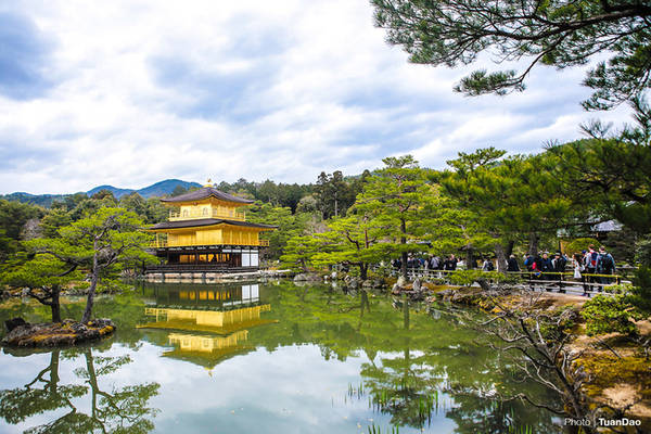 Chùa Vàng (Golden Pavillion) hay còn được gọi là chùa Kinkakuji được xây dựng từ thế kỷ 14 là một trong những điểm đến nổi tiếng bậc nhất tại đây. Chùa trước đây là nơi nghỉ của Tướng quân Yoshimitsu Ashikaga. Sau khi ngài mất, nơi đây được chuyển thành chùa. Hành cung nơi ngài ở được dát vàng lá nổi bật giữa núi rừng.