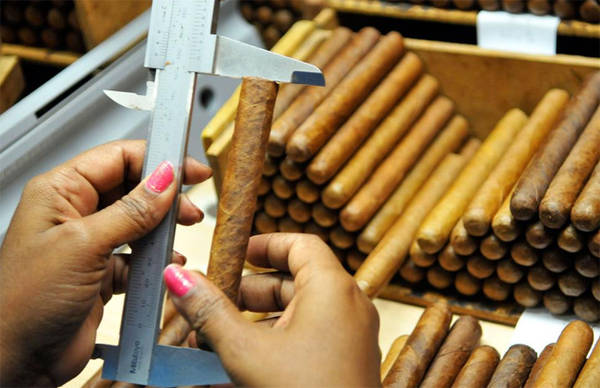 2. Xì gà Cuba Bất chấp các lệnh trừng phạt thương mại của Mỹ đối với các sản phẩm của Cuba, xì gà vẫn là một trong những mặt hàng xuất khẩu chủ lực của đất nước. Cuba đã xuất khẩu 77 triệu điếu xì gà từ những năm 1990.