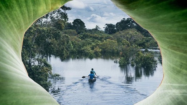 Chèo kayak và đánh cá ở Amazon Chèo thuyền kayak len lỏi ở các khu vực xa xôi của Amazon thuộc Colombia, Peru và Brazil, du khách sẽ được trải nghiệm ngủ trong rừng rậm, gặp gỡ các bộ tộc bản địa và trekking băng rừng ban đêm. Ảnh: largeminority.