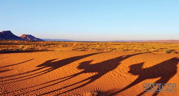 Biển cát mênh mông Sahara.
