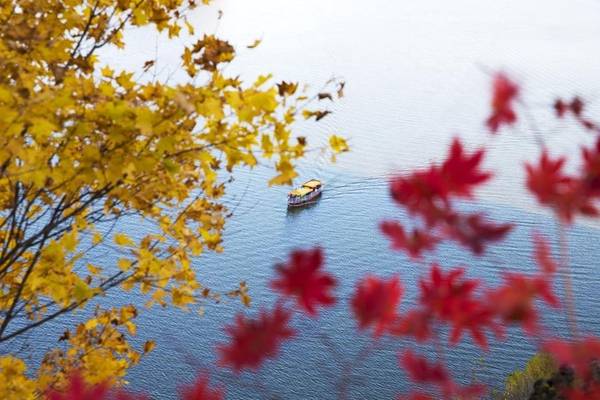 Một góc thành phố Hoa Điện, tỉnh Cát Lâm đẹp như tranh với cành cây lá vàng, lá đỏ, nước hồ thu và "con thuyền bé tẻo teo".