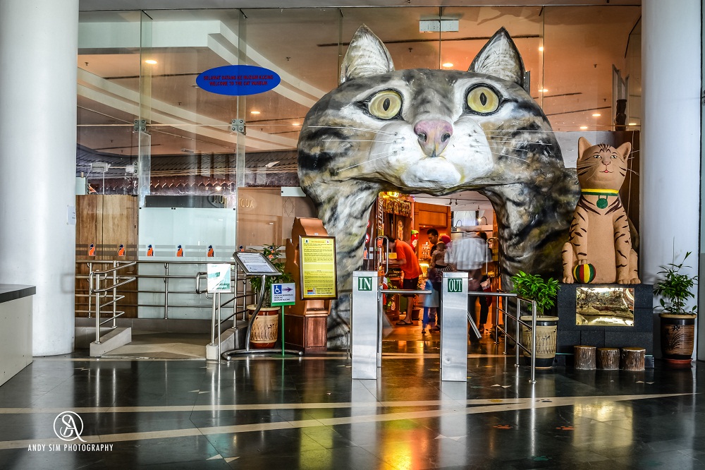  Bạn cũng không nên bỏ lỡ cơ hội tham quan bảo tàng mèo, với hàng trăm hiện vật liên quan đến mèo từ cổ chí kim được trưng bày.
