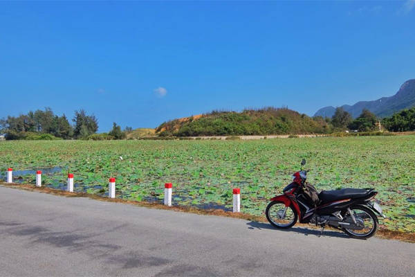 Lang thang trên đảo bằng xe máy là một trong những trải nghiệm rất đáng kể ở Côn Đảo. Ảnh: Thiện Nguyễn
