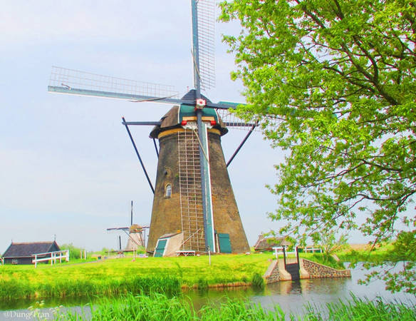 Những chiếc cối xay gió đầu tiên ra đời xuất phát từ nguyên do đất nước Hà Lan nằm dưới mực nước biển đến 30%. Chúng làm nhiệm vụ điều chuyển dòng nước, là những máy bơm dựa vào sức lực của tự nhiên giúp đất nước Hà Lan không bị nhấn chìm dưới mực nước biển.