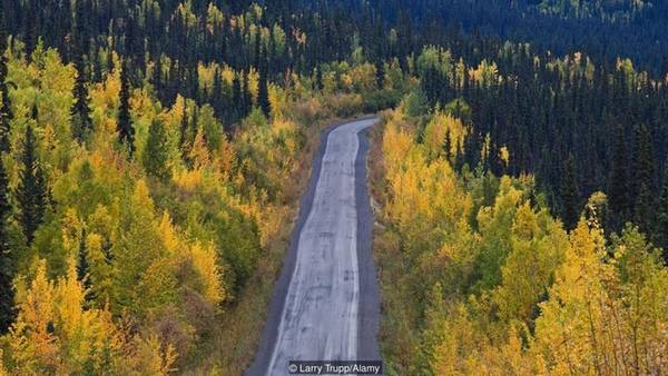 Tại nơi giao giữa hai con sông Yukon và Klondie, phía tây bắc tỉnh Yukon, thành phố Dawson nằm gọn trên dãy Ogilvie. Đây là dãy núi trải dài trên diện tích 2.000 km2 và bảo vệ nhiều động vật hoang dã như tuần lộc, nai sừng tấm và gấu xám Bắc Mỹ. Nếu đi từ Whitehorse, thủ phủ tỉnh, theo đường cao tốc Klondie dài 533 km, có thể mất tới 7 giờ để tới thành phố Dawson.