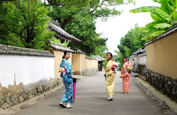 Cũng nằm ở tỉnh Oita, Ktsuki là thành phố cổ được mệnh danh là Little Kyoto của vùng Kyushu. Nhiều du khách tới đây rất thích thú với trải nghiệm mặc kimono, hay yukata và tham quan phố cổ với nhiều ngôi nhà của samurai xưa, lâu đài cổ, hay học pha trà kiểu Nhật...