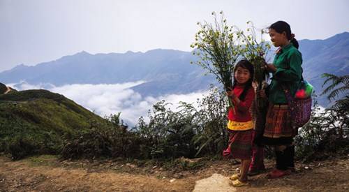 chon-bong-lai-tien-canh-ta-xua-ivivu-11Ba chị em gái Mông vui tươi với những bó hoa rừng trên tay