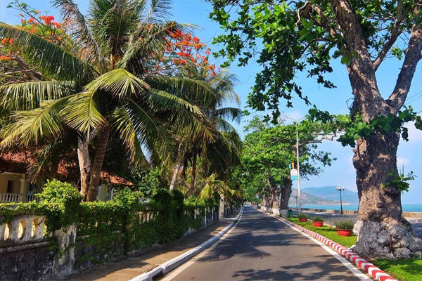 Côn Đảo có những con đường đẹp và vắng. Ảnh: Thiện Nguyễn
