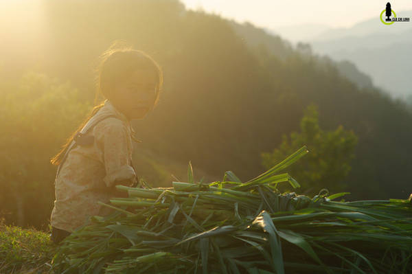 Trên bờ ruộng, có cô bé Mông ngồi nghỉ mệt, lặng lẽ ngắm nhìn ráng chiều của quê hương, sau một ngày đi rừng.