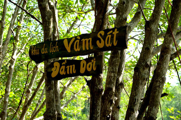 Nằm cách trung tâm TP HCM khoảng một giờ đi ôtô, khu sinh thái Vàm Sát là mảng du lịch xanh gần nhất Sài Gòn.