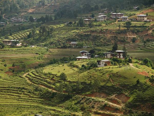 Những thửa ruộng bậc thang và ngọn đồi thoai thoải là hình ảnh thường thấy ở miền nông thôn Bhutan. Kiểu canh tác truyền thống rất phổ biến ở đây. Bhutan dự định sẽ có nền nông nghiệp 100% hữu cơ vào năm 2020.