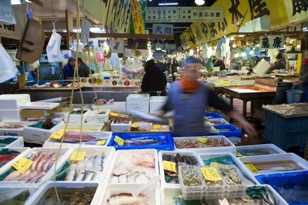 Đến chợ cá Tsukiji, bạn nên tranh thủ đi tham quan sớm vào khoảng 5g sáng - Ảnh: Peter Adams/ Getty Images 