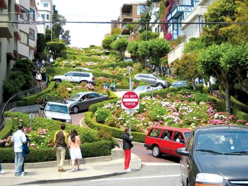 Lombard Street, con đường ngoằn ngoèo nhất thế giới