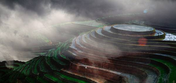 Sương sớm bảng lảng trên thửa ruộng mâm xôi nổi tiếng ở bản Pú Nhu, xã La Pán Tẩn. Đây cũng là thời điểm đồng bào vùng cao dắt trâu đi cày hay gùi thóc giống ra ruộng.