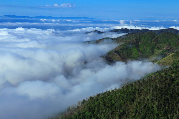 Ngoài Háng Đồng, còn có Eo gió, trên đường đi Xím Vàng, cách trung tâm Tà Xùa khoảng 3 km cũng là một trong những nơi ngắm được biển mây.