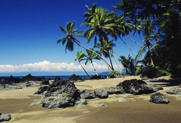 Osa Peninsula là một bán đảo nằm ở phía Tây Nam Costa Rica. Đây là nơi có thảm thực vật và số lượng các loài động vật phong phú nhất Costa Rica. Bạn có thể đến thăm Vườn quốc gia Corcovado cũng như các làng ven biển ở Cabo Matapalo và Carate.