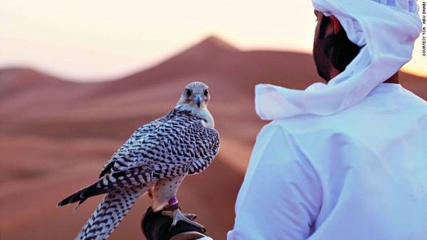 Tộc người du mục Bedouin ở Abu Dhabi có truyền thống thuần hóa chim ưng. Abu Dhabi có bảo tàng và bệnh viện chim ưng lớn và hiện đại nhất thế giới.