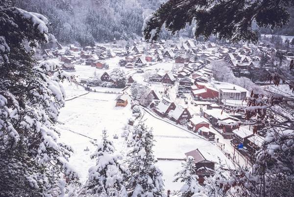 Shirakawago là ngôi làng cổ nhất của xứ Phù Tang, nằm ở phía bắc vùng Tokai, tỉnh Gifu. Những ngày đầu năm mới cũng là thời điểm đẹp nhất bởi mọi nơi đều bao phủ trong tuyết trắng. Tuyết chưa quá dày nên du khách có thể thấy được nét đặc trưng của vùng đất đầy mê hoặc.