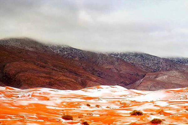 Hôm qua, dân làng tại thị trấn Ain Sefra, đất nước Algeria đã nhìn thấy những bông tuyết rơi ở sa mạc Sahara. 