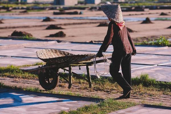 Ruộng muối ở xã Văn Lý chỉ cách nhà thờ đổ nổi tiếng ở Nam Định khoảng một km. Nên nếu có dịp, bạn hãy ghé qua ruộng muối và trải nghiệm một ngày làm diêm dân.