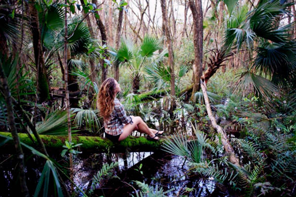 Họ đã đi khắp mọi nơi trên nước Mỹ. Một trong những chuyến thám hiểm của James và Rachel là vùng đầm lầy Palmetto, Florida.