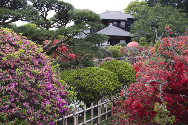 Kairakuen được xây dựng vào khoảng năm 1841 bởi lãnh chúa Tokugawa Nariaki. Không giống như hai khu vườn khác của Nhật Bản Kenrokuen và Korakuen, Kairakuen phục vụ không chỉ cho giới quý tộc mà còn chào đón cả thường dân. Kairakuen có nghĩa là "công viên để mọi người có thể cùng nhau thưởng thức". Ảnh: QuirkyJapanblog.