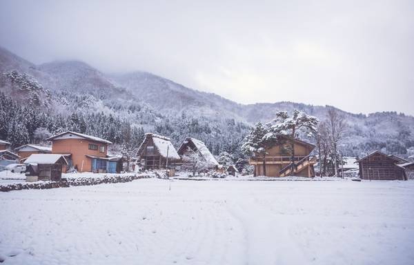 Tuyết trắng biến Shirakawago thành nơi có phong cảnh mùa đông bình yên nhất trên đất nước Mặt trời mọc.