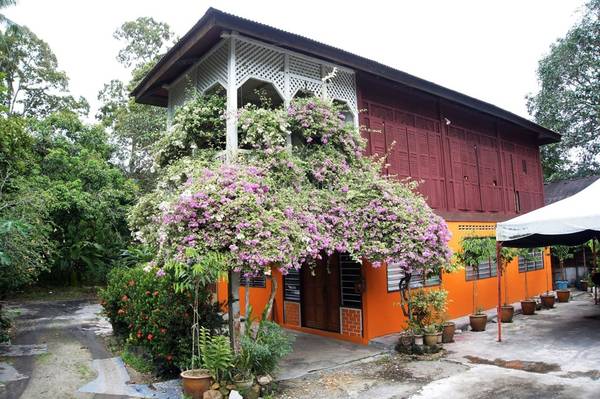 Thị trấn Balik Pulau tọa lạc ở thung lũng phía nam của đảo Penang. Đây là nơi tập trung sinh sống của người Malaysia theo đạo Hồi. Nhà cửa vẫn giữ nét truyền thống theo kiểu nhà sàn, hoa văn chạm trổ trên những cửa gỗ sắc sảo, mang màu nâu bóng. Balik Pulau mang hình ảnh một vùng quê thanh bình với những thửa ruộng xanh ngát và làng chài có từ lâu đời.