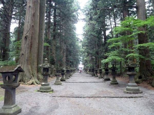 Đường dẫn đến đền Sengen Jinja - Ảnh: wp