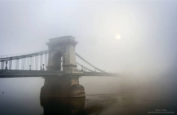 Vẻ đẹp huyền ảo của những cây cầu vào lúc sương mù
